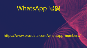 WhatsApp 号码